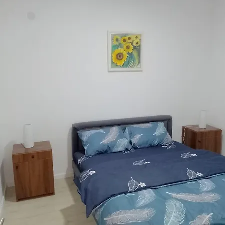 Apartamento Petrovic 3 Soko Banja