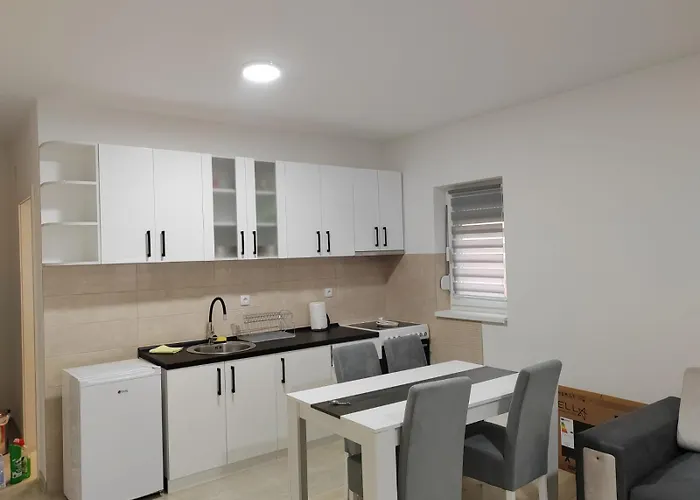 Petrovic 3 Διαμέρισμα Soko Banja