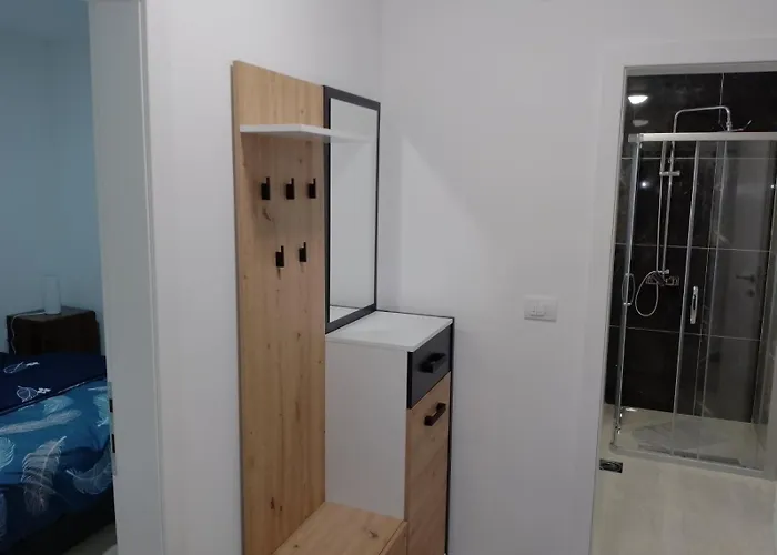 Petrovic 3 Διαμέρισμα Soko Banja