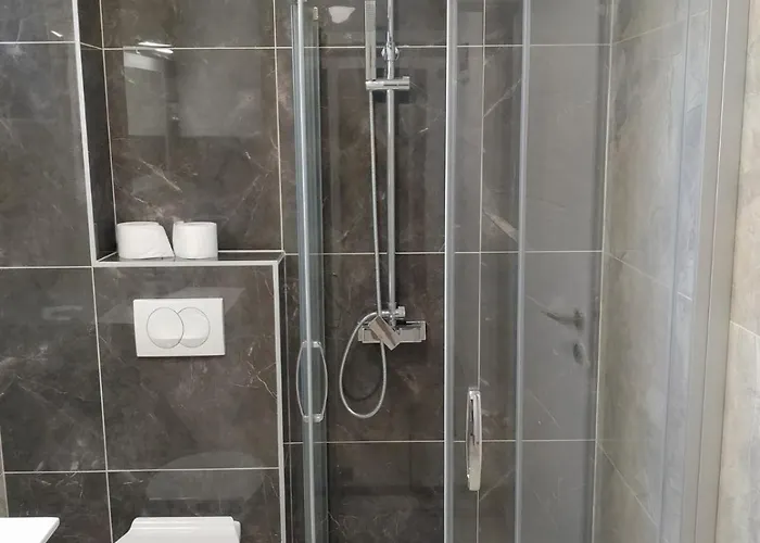 Διαμέρισμα Petrovic 3 Soko Banja