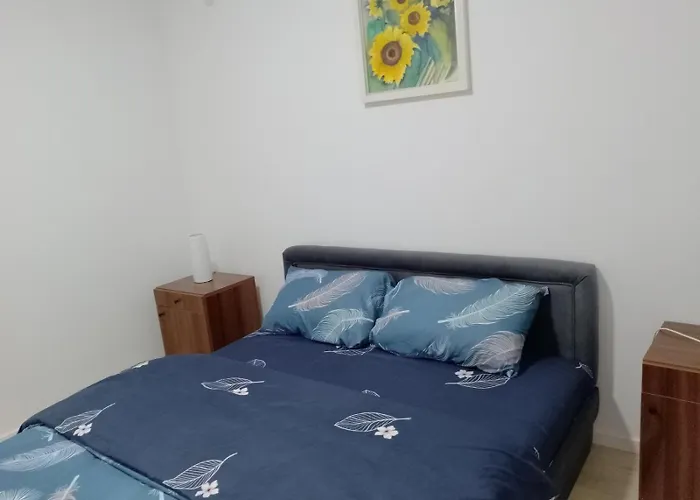 Διαμέρισμα Petrovic 3