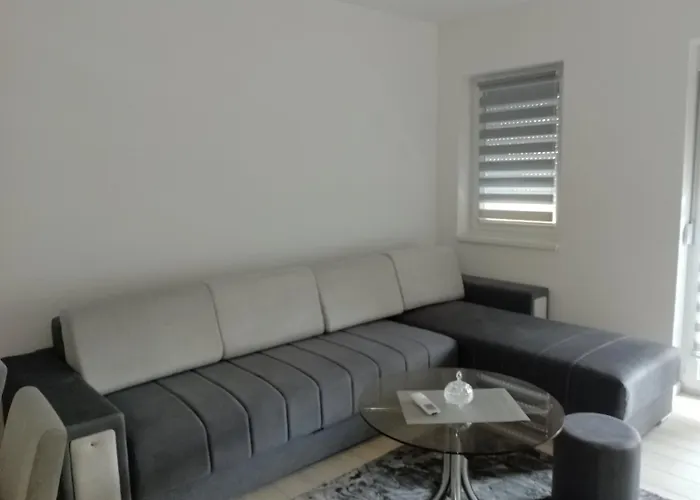 Διαμέρισμα Petrovic 3 *